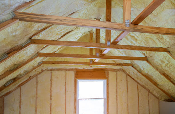 Best Local Insulation Services  in Pine Ridge, SC