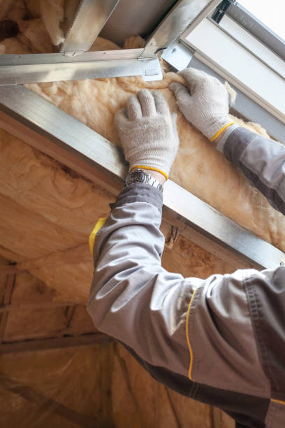 Best Commercial Insulation Contractor  in Pine Ridge, SC