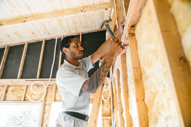 Best Energy-efficient Insulation  in Pine Ridge, SC
