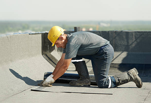 Best Insulation Replacement Services  in Pine Ridge, SC