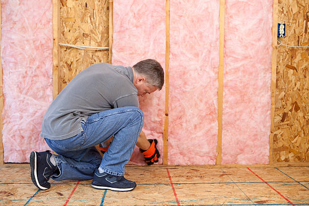 Best Insulation Repair Services  in Pine Ridge, SC
