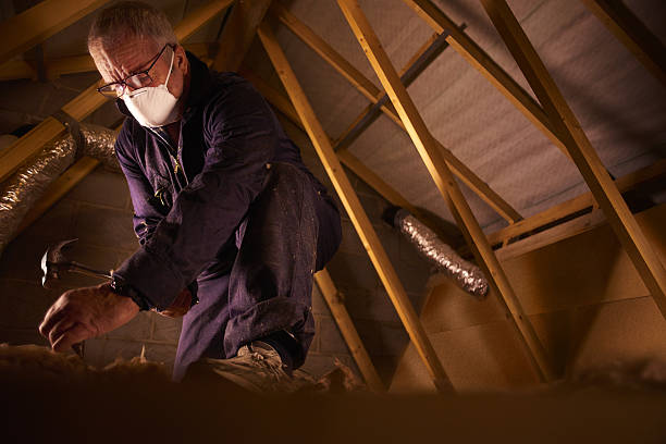 Best Insulation Contractor Near Me  in Pine Ridge, SC